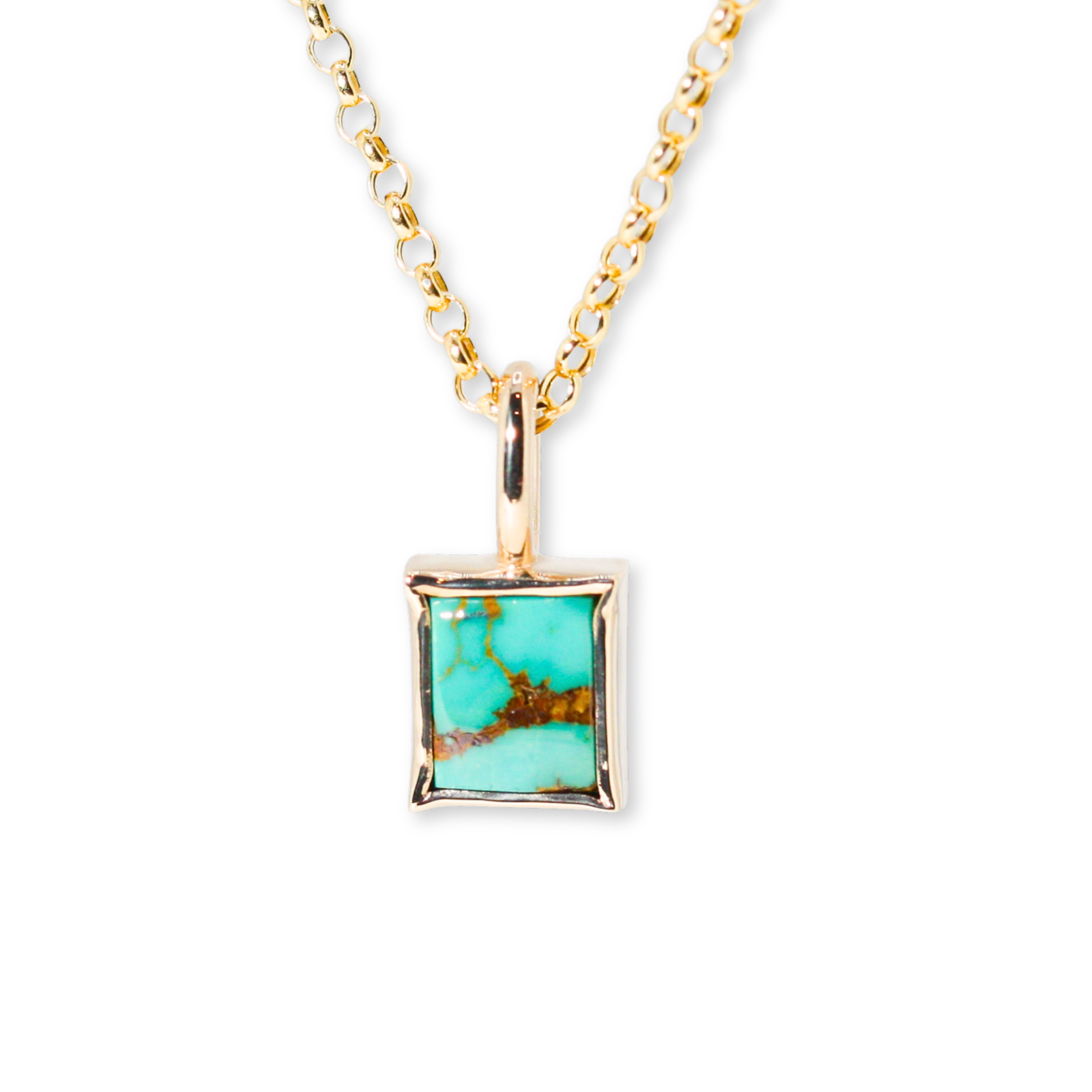 Manassa Colorado Turquoise Charm Necklace